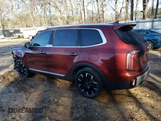 2023 Kia Telluride SX Prestige with VIN 5XYP5DGC5PG399807, listed as a Copart auction lot 43509855 with 18,812 mi miles and Salvage title. Bid and sale history available at DreamBid. Image 2.