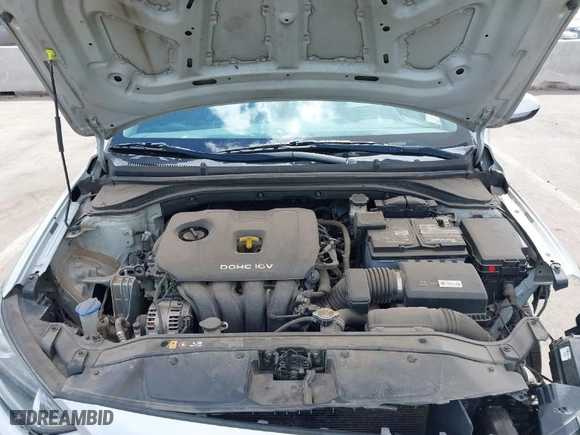 2018 Hyundai Elantra SE with VIN 5NPD74LF3JH392089, listed as a IAAI auction lot 41703037 with 163,964 mi miles. Bid and sale history available at carsss.com. Image 10.