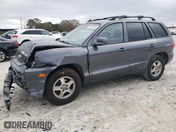 2003 Hyundai Santa Fe GLS with VIN KM8SC13D23U514882, listed as a Copart auction lot 76653463 with 126,223 mi miles and Salvage Title. Bid and sale history available at carsss.com. Image 1.