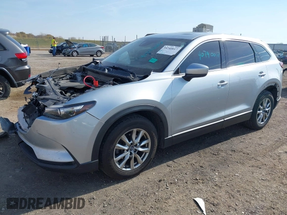 2017 Mazda CX-9 Touring with VIN JM3TCBCY7H0132466, listed as a IAAI auction lot 40740017 with 160,655 mi miles. Bid and sale history available at carsss.com. Image 18.