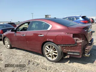 2010 Nissan Maxima SV with VIN 1N4AA5AP8AC837983, listed as a Copart auction lot 58348055 with 217,023 mi miles and Salvage title. Bid and sale history available at DreamBid. Image 2.