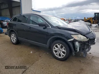 2013 Mazda CX-9 Touring with VIN JM3TB2CAXD0422801, listed as a Copart auction lot 58839295 with 194,434 mi miles and Salvage title. Bid and sale history available at DreamBid. Image 4.