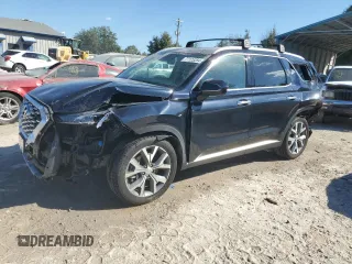 2020 Hyundai Palisade SEL with VIN KM8R3DHE5LU170353, listed as a Copart auction lot 77125284 with 97,955 mi miles and Salvage title. Bid and sale history available at DreamBid. Image 1.