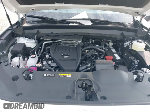 2025 Lexus TX 350 with VIN 5TDAAAB63SS033244, listed as a IAAI auction lot 42505973 with 2,106 mi miles and . Bid and sale history available at DreamBid. Image 10.