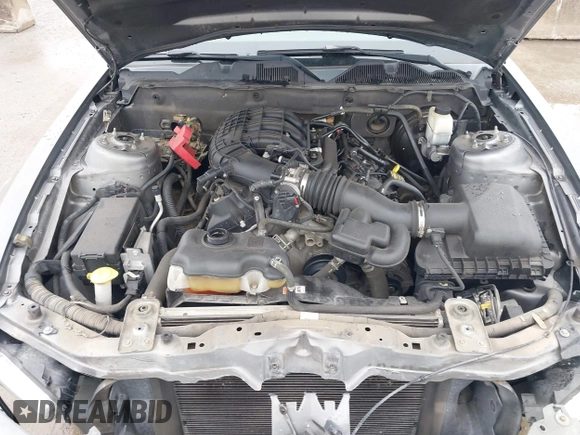 2011 Ford Mustang V6 with VIN 1ZVBP8AM2B5125492, listed as a IAAI auction lot 41565388 with 135,688 mi miles and . Bid and sale history available at carsss.com. Image 10.