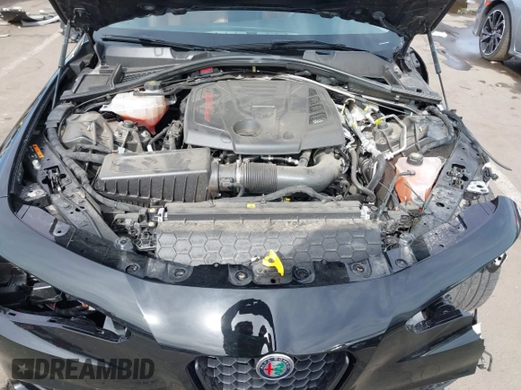 2021 Alfa Romeo Giulia z VIN ZARFAMAN1M7648894, wystawiony jako IAAI lot #41589364 z przebiegiem 22 381 mil mil oraz . Historia ofert i sprzedaży dostępna na DreamBid. Obrazek 10.