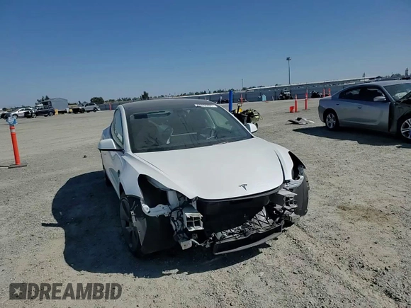 2023 Tesla Model 3 с VIN 5YJ3E1EAXPF541042, выставлен на аукционе Copart как лот 52898805 с пробегом 59 724 миль миль и Списание • Salvage title. История ставок и продаж доступна на DreamBid. Изображение 14.