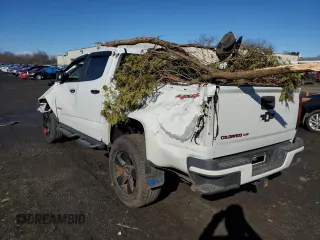 2018 Chevrolet Colorado 4WD LT with VIN 1GCGTCEN2J1111575, listed as a Copart auction lot 47116155 with 63,935 mi miles and Salvage Title. Bid and sale history available at carsss.com. Image 2.
