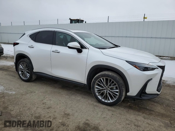 2023 Lexus NX 350 Premium z VIN 2T2GGCEZ8PC026876, wystawiony jako Copart lot #46683055 z przebiegiem 52 587 mil mil oraz Szkoda całkowita • Salvage title. Historia ofert i sprzedaży dostępna na DreamBid. Obrazek 4.