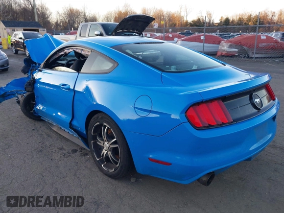 2017 Ford Mustang V6 with VIN 1FA6P8AM5H5272540, listed as a IAAI auction lot 41101738 with Not Provided miles and . Bid and sale history available at carsss.com. Image 3.