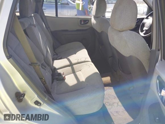 2006 Hyundai Santa Fe GLS with VIN KM8SC13D96U071585, listed as a IAAI auction lot 42005602 with 195,143 mi miles. Bid and sale history available at carsss.com. Image 8.