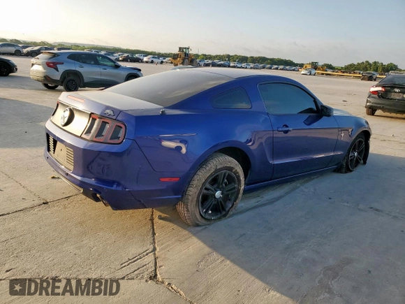 2013 Ford Mustang V6 with VIN 1ZVBP8AM1D5256853, listed as a Copart auction lot 65688035 with 142,838 mi miles and Clean title. Bid and sale history available at DreamBid. Image 3.