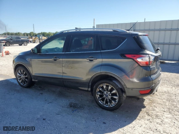 2017 Ford Escape Titanium with VIN 1FMCU0JD5HUF02554, listed as a Copart auction lot 48976285 with NaN miles and Clean Title. Bid and sale history available at carsss.com. Image 2.
