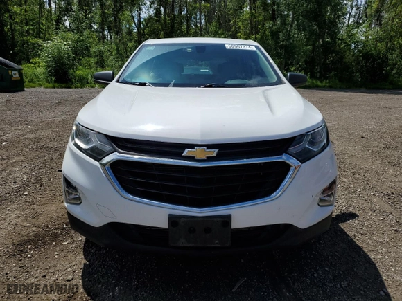 2019 Chevrolet Equinox LS with VIN 2GNAXSEV0K6121192, listed as a Copart auction lot 60967374 with 125,337 mi miles and Salvage Title. Bid and sale history available at carsss.com. Image 5.