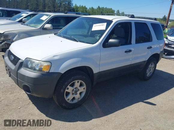 2007 Ford Escape XLT with VIN 1FMYU03127KC05177, listed as a IAAI auction lot 42199281 with 144,846 mi miles and . Bid and sale history available at DreamBid. Image 2.