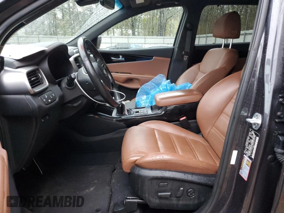 2019 Kia Sorento SX Limited with VIN 5XYPKDA59KG430374, listed as a Copart auction lot 80629564 with 52,518 mi miles and Salvage Title. Bid and sale history available at carsss.com. Image 7.
