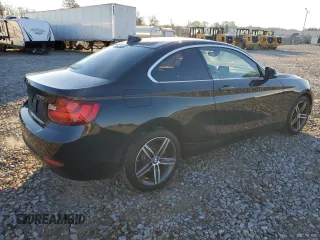 2017 BMW 2 Series 230i with VIN WBA2F9C30H7A40308, listed as a Copart auction lot 41564795 with 53,403 mi miles and Salvage title. Bid and sale history available at DreamBid. Image 3.
