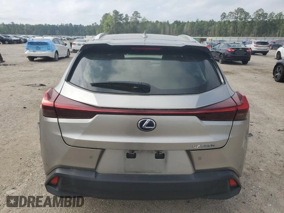 2019 Lexus UX 250h with VIN JTHU9JBHXK2011576, listed as a Copart auction lot 51209865 with Not provided miles and Clean title. Bid and sale history available at DreamBid. Image 6.