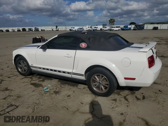 2005 Ford Mustang Deluxe with VIN 1ZVFT84N455250273, listed as a Copart auction lot 50923095 with Not Provided miles and Salvage Title. Bid and sale history available at carsss.com. Image 2.