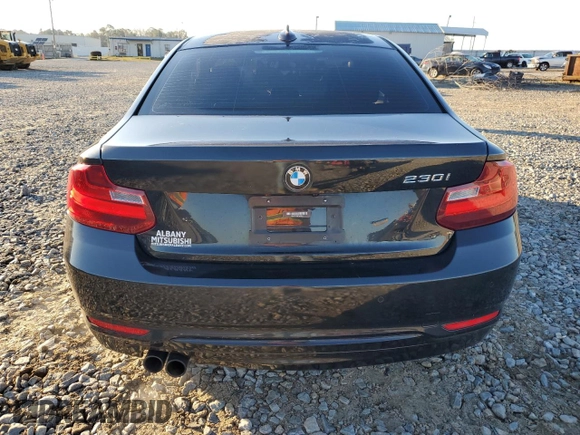 2017 BMW 2 Series 230i with VIN WBA2F9C30H7A40308, listed as a Copart auction lot 41564795 with 53,403 mi miles and Salvage title. Bid and sale history available at DreamBid. Image 6.
