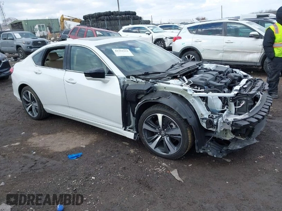 2024 Acura TLX Technology with VIN 19UUB5F45RA000376, listed as a IAAI auction lot 41322212 with Not Provided miles and . Bid and sale history available at DreamBid. Image 1.