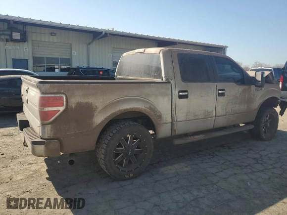 2010 Ford F-150 XL with VIN 1FTEW1C82AFD04120, listed as a Copart auction lot 48870955 with 209,719 mi miles and Salvage Title. Bid and sale history available at carsss.com. Image 3.