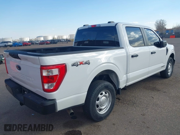 2023 Ford F-150 XL with VIN 1FTFW1ED9PFC02465, listed as a IAAI auction lot 41715526 with 21,343 mi miles. Bid and sale history available at carsss.com. Image 4.