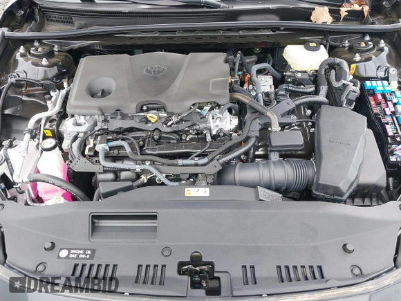 2025 Toyota Camry LE with VIN 4T1DAACK8SU500304, listed as a IAAI auction lot 41907504 with 6 mi miles and . Bid and sale history available at DreamBid. Image 10.