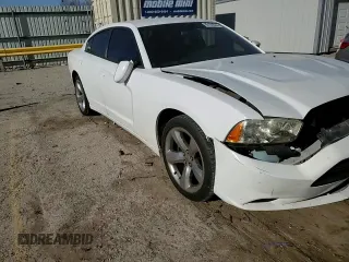 2014 Dodge Charger Police with VIN 2C3CDXAG8EH289481, listed as a Copart auction lot 86189534 with 179,755 mi miles and Salvage Title. Bid and sale history available at DreamBid. Image 11.