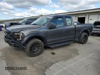 2015 Ford F-150 XL with VIN 1FTEX1CF2FKE43674, listed as a Copart auction lot 58068845 with 210,409 mi miles and Salvage title. Bid and sale history available at DreamBid. Image 1.