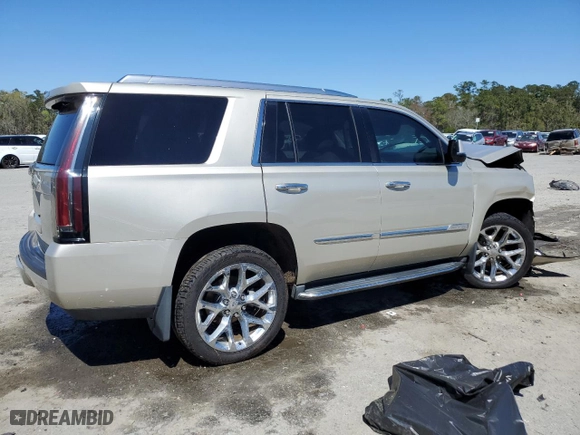 2016 Cadillac Escalade Luxury Collection with VIN 1GYS4BKJXGR175502, listed as a Copart auction lot 50012785 with 204,862 mi miles and Salvage Title. Bid and sale history available at carsss.com. Image 3.
