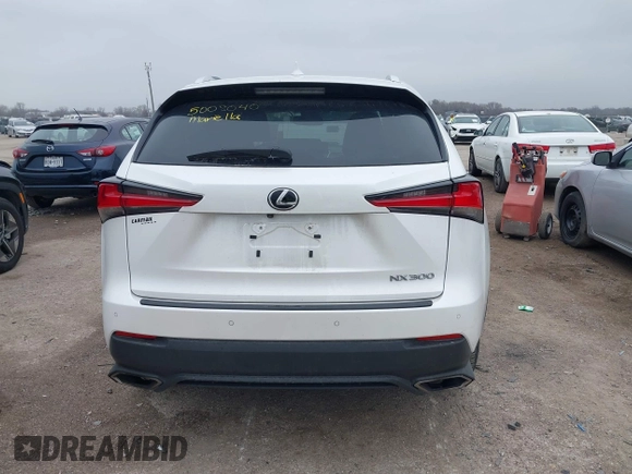 2018 Lexus NX with VIN JTJYARBZ9J2110516, listed as a IAAI auction lot 41711056 with 64,615 mi miles. Bid and sale history available at carsss.com. Image 16.