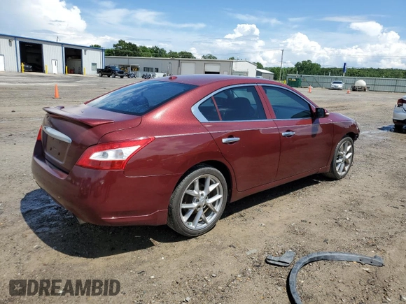 2010 Nissan Maxima SV with VIN 1N4AA5AP7AC820706, listed as a Copart auction lot 60928385 with 131,222 mi miles and Clean title. Bid and sale history available at DreamBid. Image 3.
