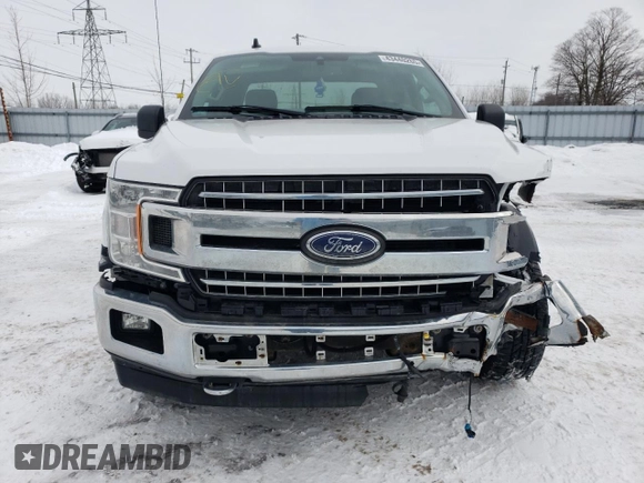 2020 Ford F-150 XL with VIN 1FTEX1EB0LKF21844, listed as a Copart auction lot 43440265 with 176,330 mi miles and Clean Title. Bid and sale history available at carsss.com. Image 5.