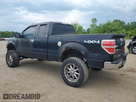 2009 Ford F-150 XL with VIN 1FTPX14V09FA78746, listed as a Copart auction lot 64223905 with 228,763 mi miles and Clean title. Bid and sale history available at DreamBid. Image 2.