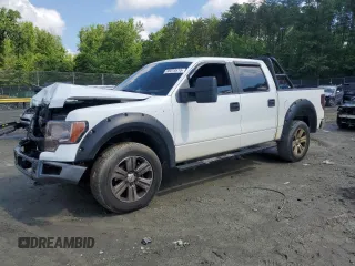 2012 Ford F-150 XL with VIN 1FTFW1ET9CFD07167, listed as a Copart auction lot 58078515 with 235,200 mi miles and Salvage title. Bid and sale history available at DreamBid. Image 1.