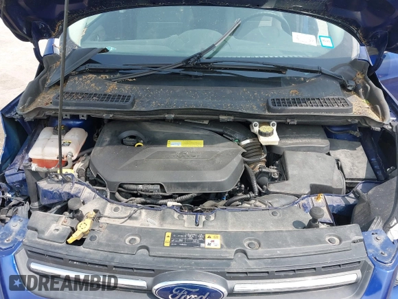 2013 Ford Escape SE с VIN 1FMCU9GX8DUD31265, выставлен на аукционе IAAI как лот 42467438 с пробегом 111 922 миль миль и . История ставок и продаж доступна на DreamBid. Изображение 10.