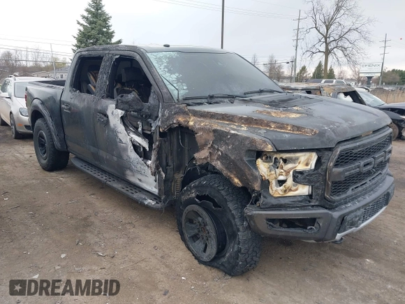 2017 Ford F-150 Raptor with VIN 1FTFW1RG5HFC33542, listed as a IAAI auction lot 41991276 with Not Provided miles and . Bid and sale history available at carsss.com. Image 1.