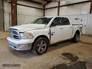 2010 Dodge Ram 1500 SLT with VIN 1D7RV1CT5AS154106, listed as a Copart auction lot 49603705 with 0 mi miles and Non Repairable. Bid and sale history available at carsss.com. Image 1.