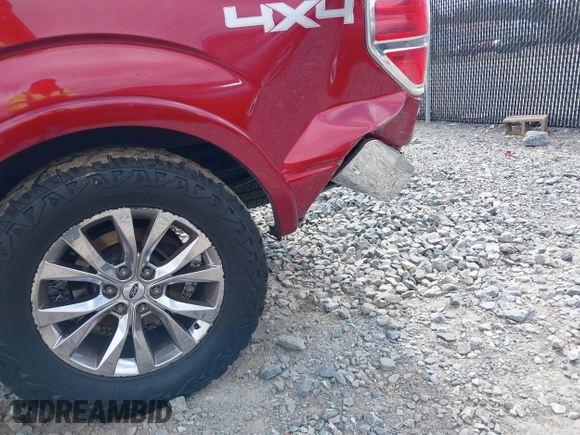 2013 Ford F-150 XL with VIN 1FTFW1EF0DKF79318, listed as a IAAI auction lot 41699072 with 218,353 mi miles. Bid and sale history available at carsss.com. Image 18.