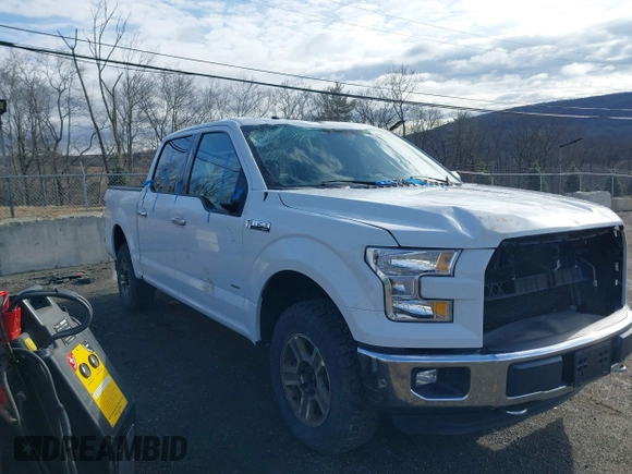2016 Ford F-150 XLT with VIN 1FTEW1EP5GFC10407, listed as a IAAI auction lot 41729505 with 182,464 mi miles and . Bid and sale history available at carsss.com. Image 17.