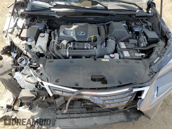 2021 Lexus NX 300 with VIN JTJDARDZ2M2263447, listed as a Copart auction lot 56679395 with 22,455 mi miles and Salvage title. Bid and sale history available at DreamBid. Image 11.