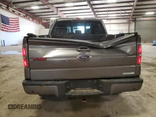 2014 Ford F-150 XL with VIN 1FTFW1ET3EFC87565, listed as a Copart auction lot 49617765 with 159,521 mi miles and Salvage Title. Bid and sale history available at carsss.com. Image 5.