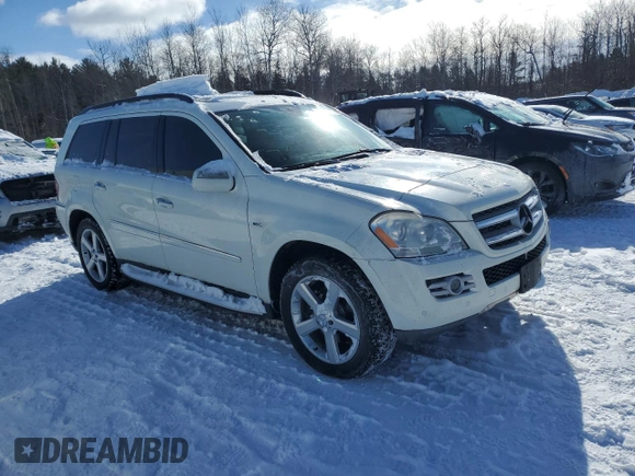 2009 Mercedes-Benz GL-Class 3.0L BlueTEC with VIN 4JGBF25E19A488045, listed as a Copart auction lot 46063375 with 242,880 mi miles and Clean Title. Bid and sale history available at carsss.com. Image 4.