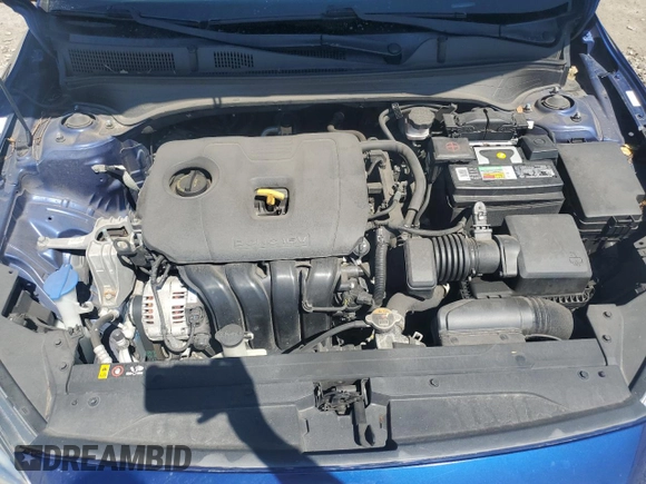 2019 Kia Forte LXS with VIN 3KPF24AD4KE029332, listed as a Copart auction lot 53078945 with 45,885 mi miles and Non Repairable. Bid and sale history available at carsss.com. Image 11.