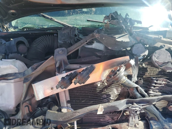 2014 Toyota Tacoma PreRunner with VIN 3TMJU4GN2EM165750, listed as a Copart auction lot 56969605 with Not Provided miles and Clean Title. Bid and sale history available at DreamBid. Image 11.