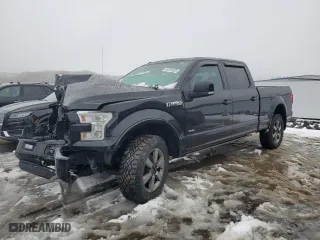 2016 Ford F-150 XLT with VIN 1FTFW1EG5GFB32134, listed as a Copart auction lot 44761625 with 186,684 mi miles and Salvage Title. Bid and sale history available at carsss.com. Image 1.
