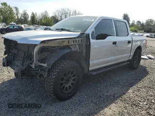 2016 Ford F-150 XL z VIN 1FTEW1CF3GKE75117, wystawiony jako Copart lot #54048985 z przebiegiem 132 513 mil mil oraz Szkoda całkowita • Salvage title. Historia ofert i sprzedaży dostępna na DreamBid. Obrazek 1.