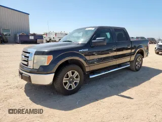 2010 Ford F-150 XL with VIN 1FTEW1C86AFC56413, listed as a Copart auction lot 61371355 with 251,151 mi miles and Salvage title. Bid and sale history available at DreamBid. Image 1.