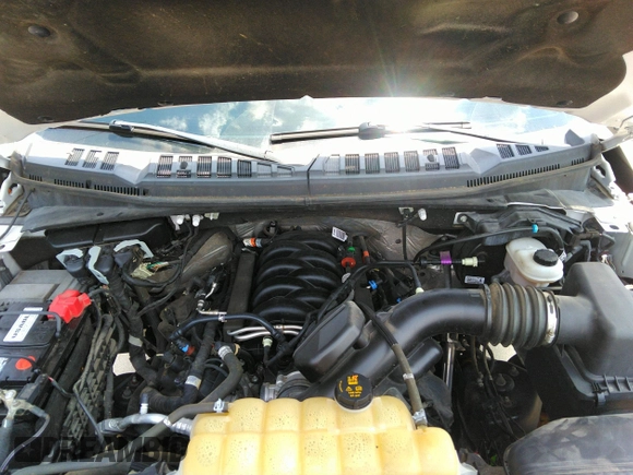 2020 Ford F-150 XL with VIN 1FTEW1E57LFA45632, listed as a IAAI auction lot 42428878 with 47,028 mi miles and . Bid and sale history available at DreamBid. Image 10.